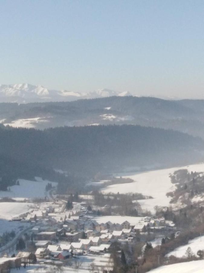Chata Holica Pieniny Lesnica Exteriör bild