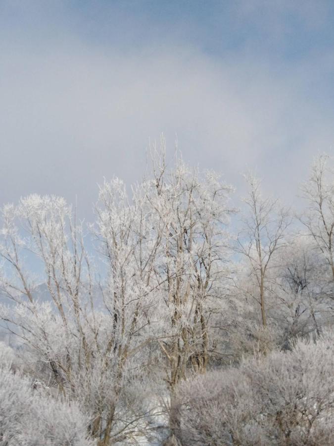 Chata Holica Pieniny Lesnica Exteriör bild