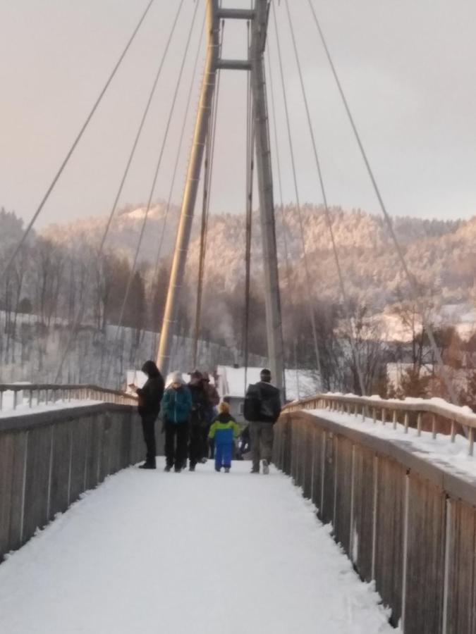 Chata Holica Pieniny Lesnica Exteriör bild
