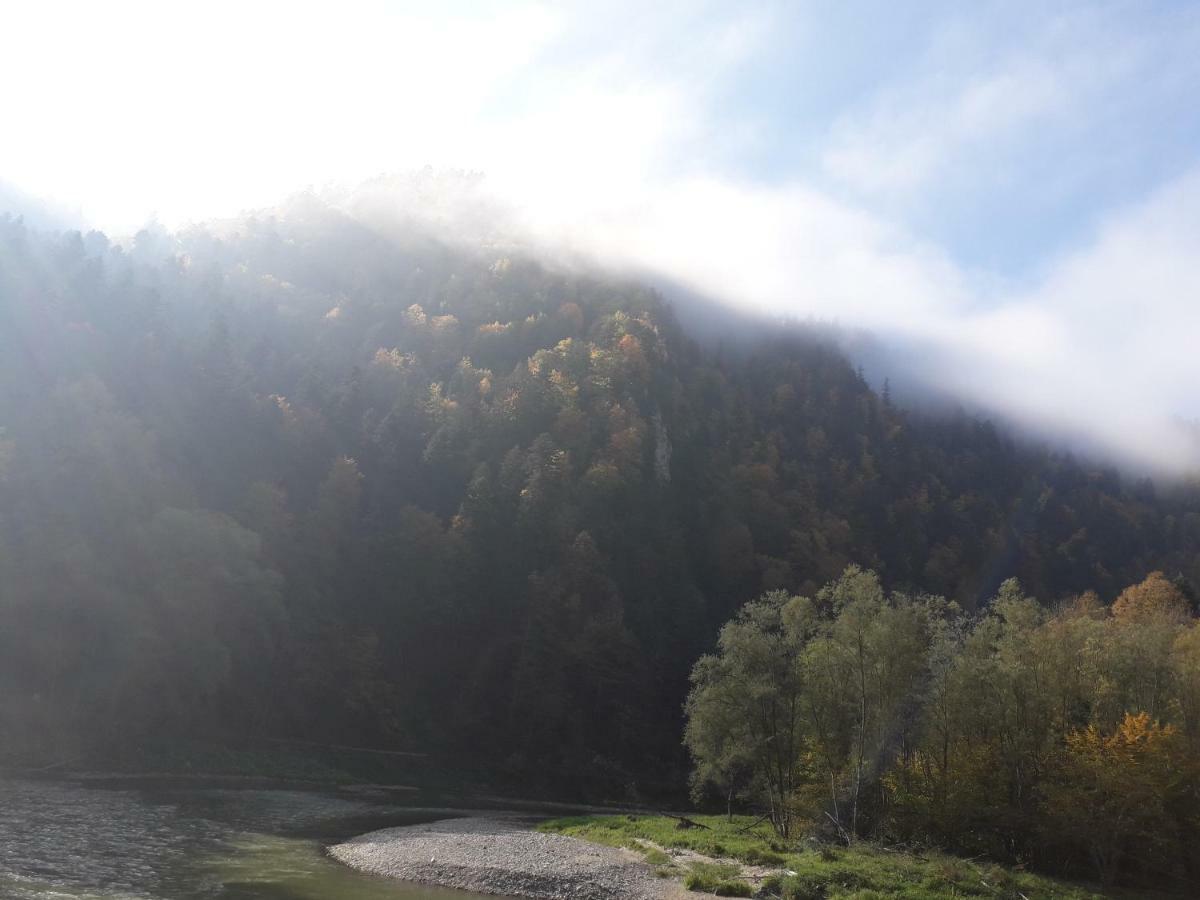 Chata Holica Pieniny Lesnica Exteriör bild