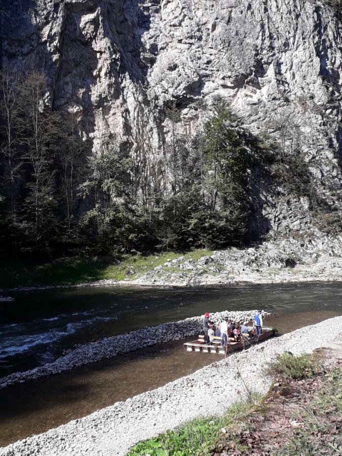 Chata Holica Pieniny Lesnica Exteriör bild