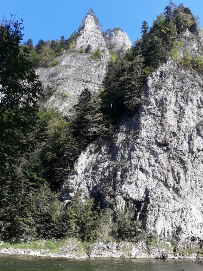 Chata Holica Pieniny Lesnica Exteriör bild