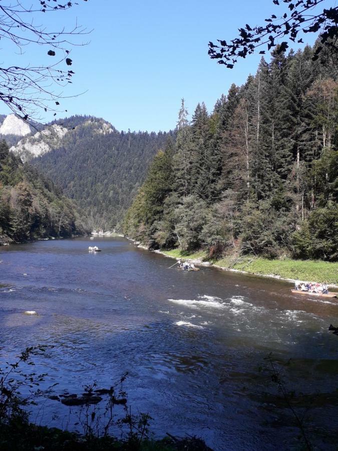 Chata Holica Pieniny Lesnica Exteriör bild