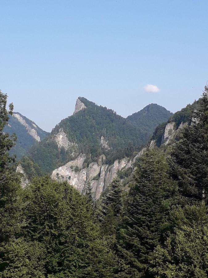 Chata Holica Pieniny Lesnica Exteriör bild