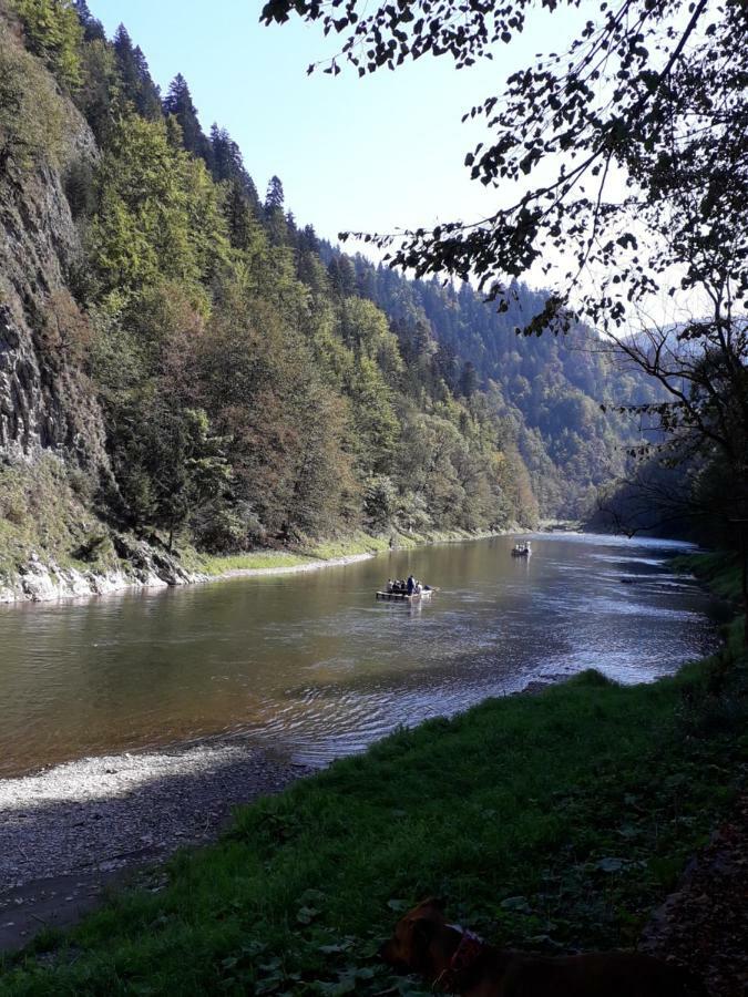 Chata Holica Pieniny Lesnica Exteriör bild