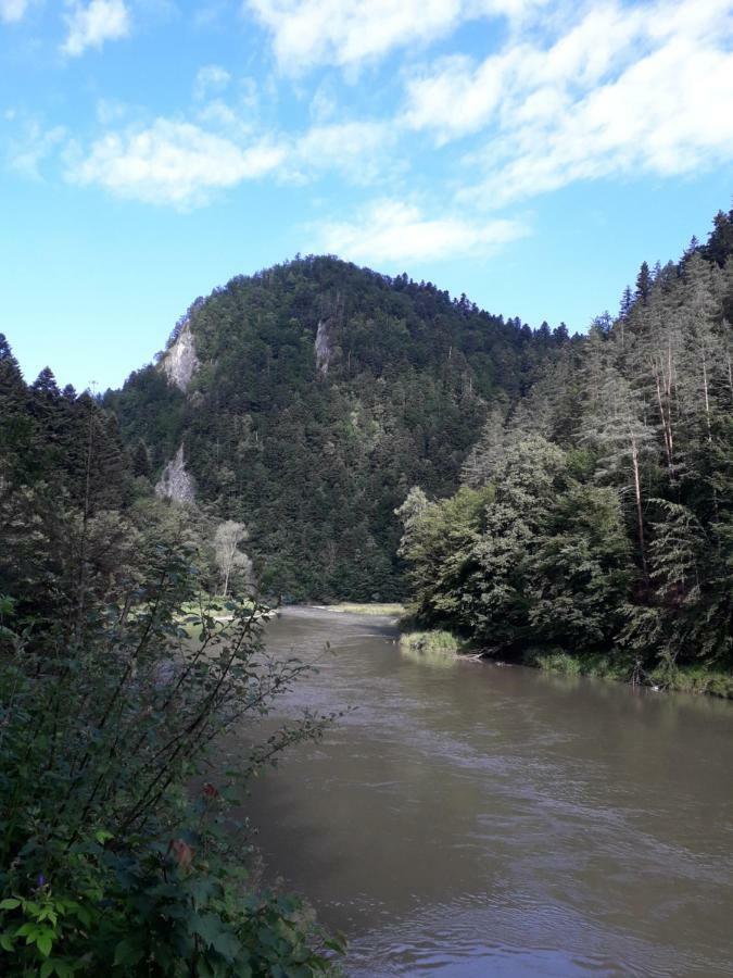Chata Holica Pieniny Lesnica Exteriör bild