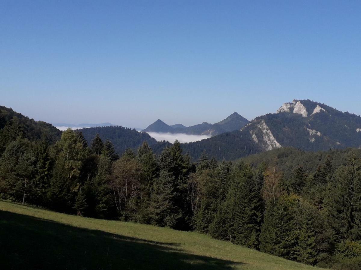 Chata Holica Pieniny Lesnica Exteriör bild