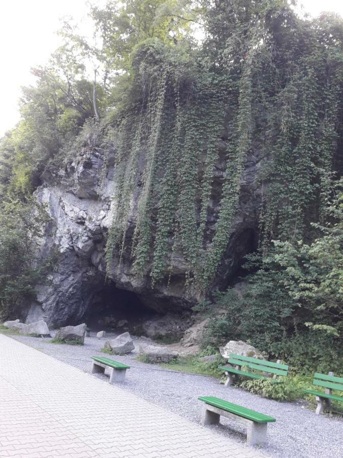 Chata Holica Pieniny Lesnica Exteriör bild