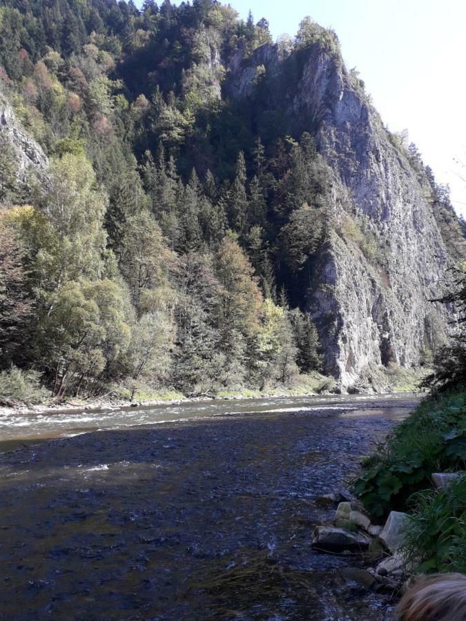 Chata Holica Pieniny Lesnica Exteriör bild