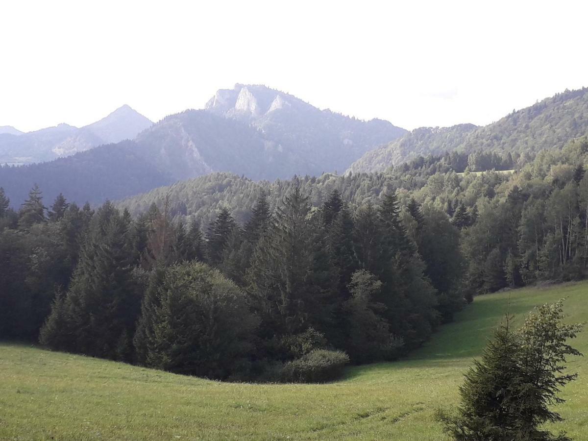 Chata Holica Pieniny Lesnica Exteriör bild